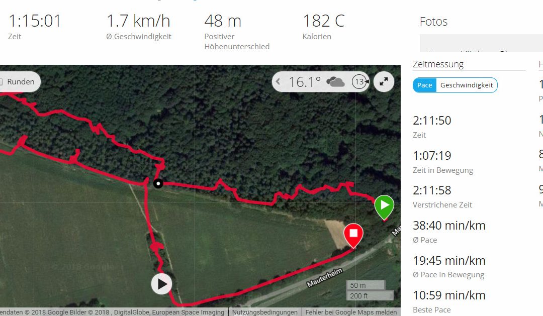 3D Parcours Pottenbrunn. Rollstuhl tauglicher Parcours zum Bogenschießen