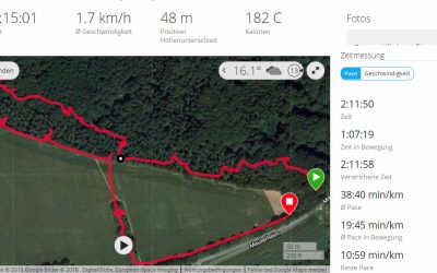 3D Parcours Pottenbrunn. Rollstuhl tauglicher Parcours zum Bogenschießen