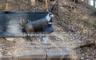 Rohschafttest, Blankschafttest (Vergleichsmethode)