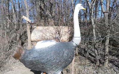 Bogensportverein Mattersburg, Burgenland, 3D Parcours