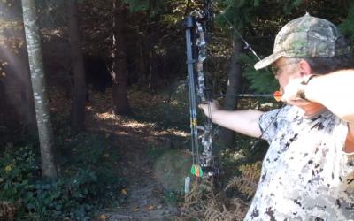 Compoundbogen – kann auch ein Compoundbogen intuitiv geschossen werden?