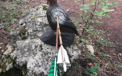 Fernglas beim Bogenschießen – sinnvoll und erlaubt?