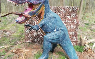 Qualität statt Quantität beim Bogenschießen