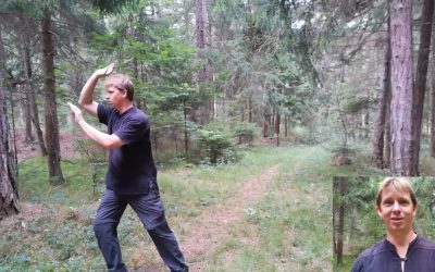 Qi Gong, Tai Chi und Bogenschießen