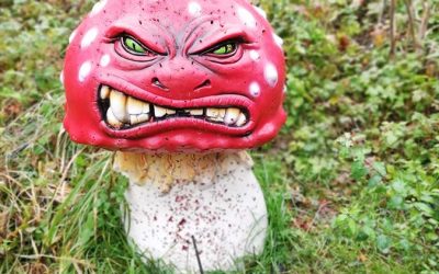 Bogenschießen lernen