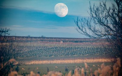 Spiritualität mit Pfeil und Bogen?